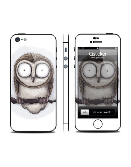 Samolepka pro iPhone SE/5s/5 - Owl